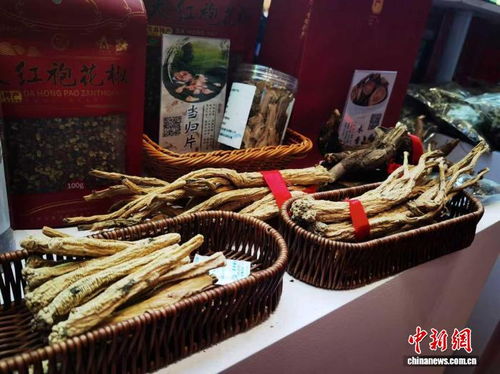 甘肅鄉(xiāng)村深閨 甘味農(nóng)產(chǎn)品與苗雞物暢其流新篇章